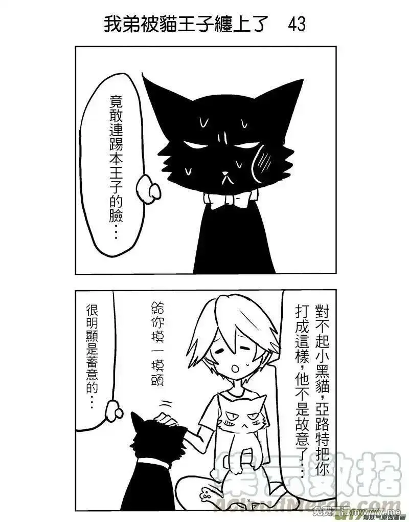 我弟被猫王子缠上了 第40话 第1页