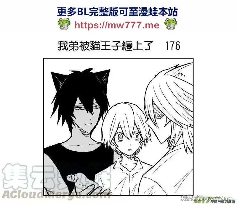 我弟被猫王子缠上了 第172话 第1页