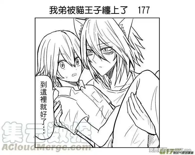 我弟被猫王子缠上了 第173话 第1页