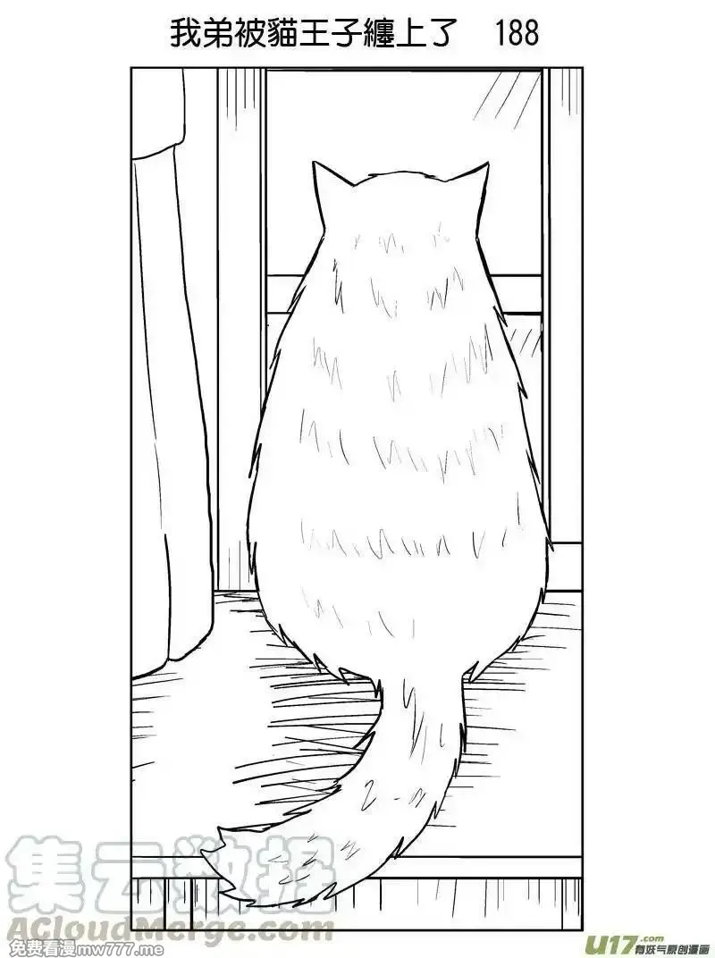 我弟被猫王子缠上了 第184话 第1页
