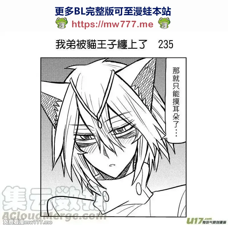 我弟被猫王子缠上了 第232话 第1页