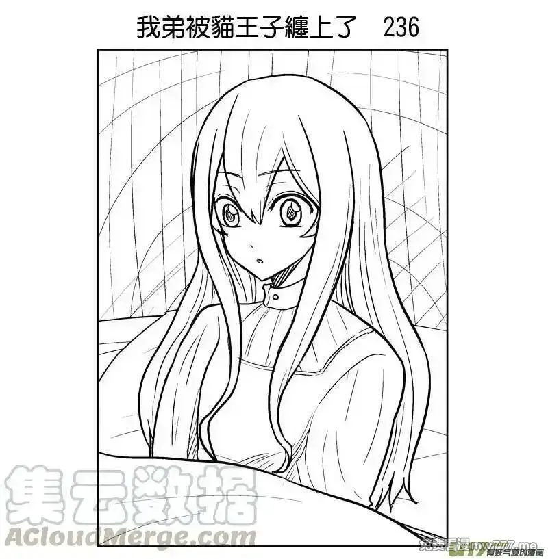 我弟被猫王子缠上了 第233话 第1页