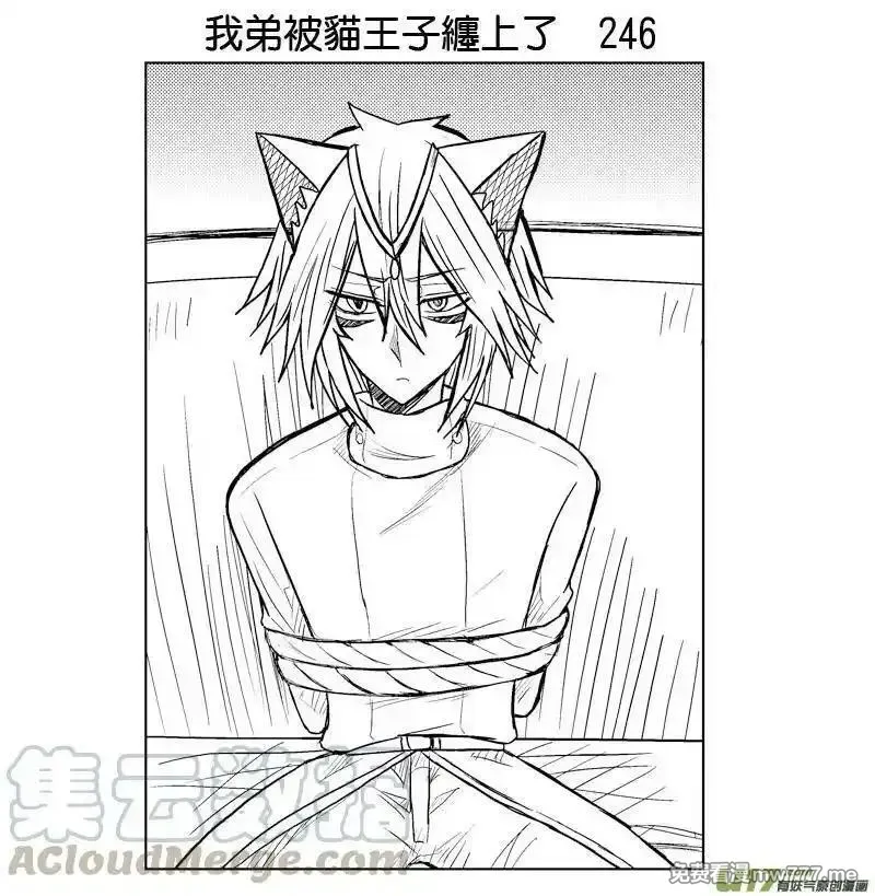 我弟被猫王子缠上了 第244话 第1页