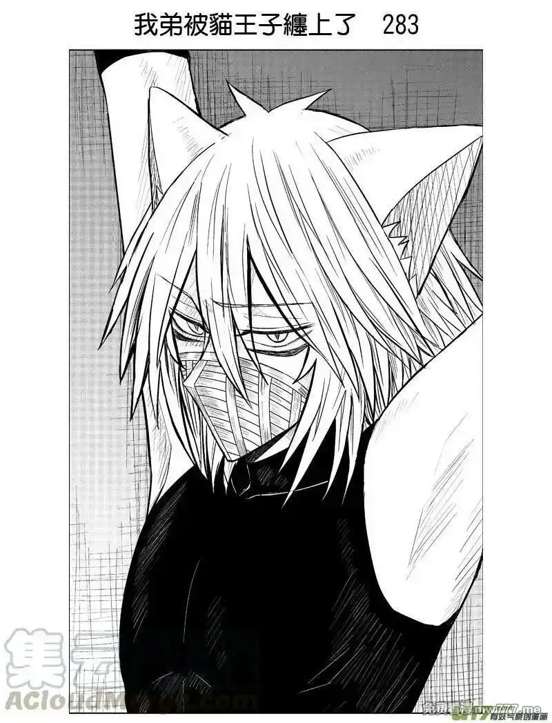 我弟被猫王子缠上了 第281话 第1页