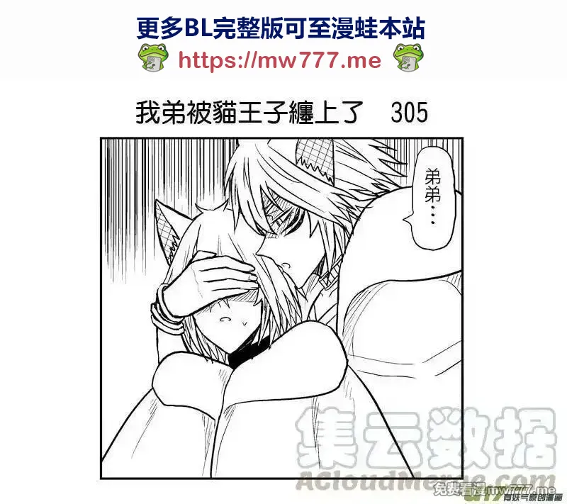 我弟被猫王子缠上了 第305话 第1页