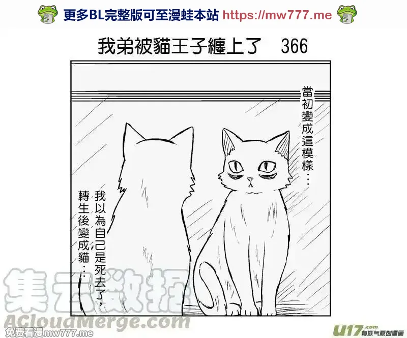 我弟被猫王子缠上了 第365话 第1页