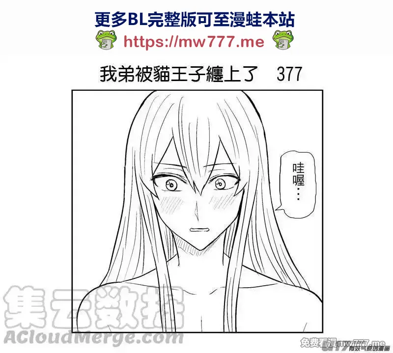 我弟被猫王子缠上了 第376话 第1页