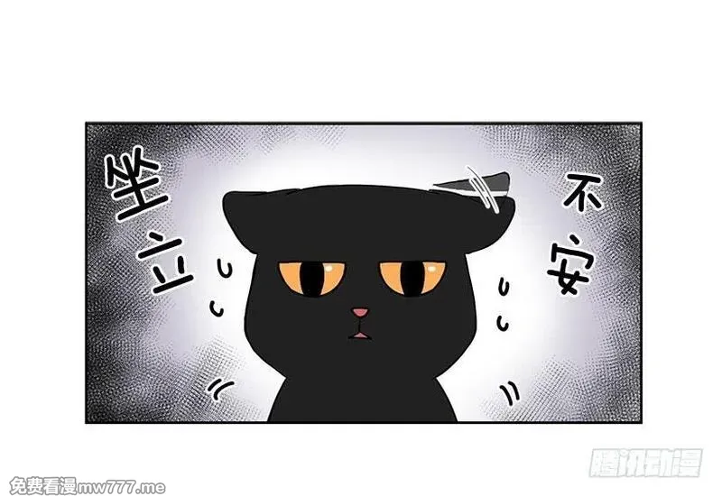 可爱的野兽先生 第11话 第2页