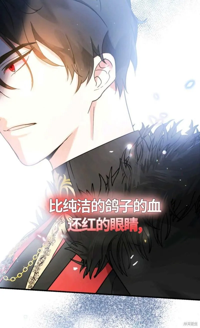 宝贝用罗盘玩转罗曼史 第5话 第3页