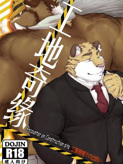 封面